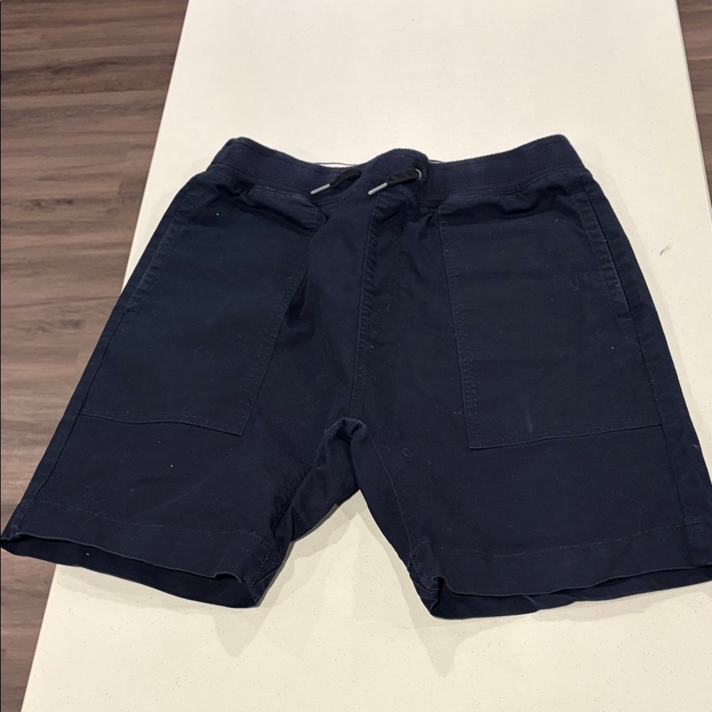 Zanerobe Dark Blue Athletic Shorts